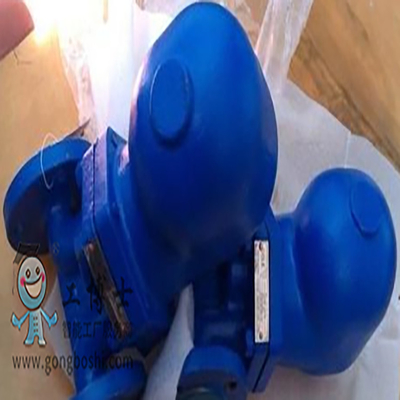 Spirax Sarco Disc Check Valves Dan Sanitary Check Valve Dengan Pump Trap