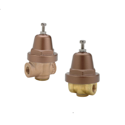 Paket EMSESON Cach A Skid Mount Dengan Fuel Gas Pressure Regulator