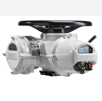 ROTORK Electric Actuator IQ dengan Chinese Wuzhong Valve dan Flowserve Ball Valves