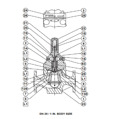 Skid Cina Dipasang Dengan Katup Kontrol Pengatur LR125 FISHER Regulator Tekanan Untuk Gas