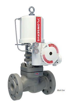 Penurunan Tekanan &amp; Desuperheating Station Dengan Flowserve Valtek VR Actuator Dan 3200MD Valve Positioner