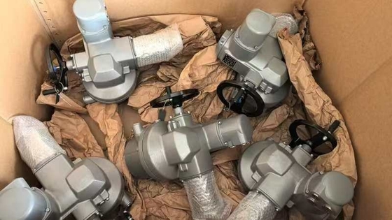 Katup listrik dengan AUMA SQ10.2 dan lampiran katup F10 F12 Auma SQ SQR Aktuator bagian putar listrik SQ10.2 SQ07.2 SQ12.2 SQ14.2 SQ05.2 Untuk tugas terbuka dan dekat