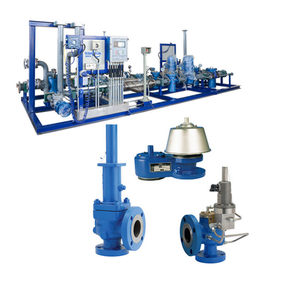 Crosby J-Series Direct Spring Pressure Relief Valves Dengan Skid Gas Alam Dipasang Kualitas Tinggi untuk Safety Valves