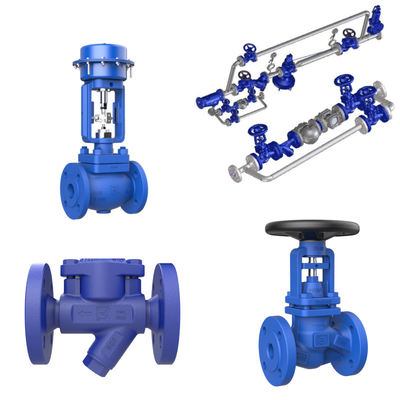 Steam Trap Station Heat Recovery Skid Disesuaikan Tekanan Seimbang Steam Trap Tekanan Menurunkan Katup Katup Kontrol
