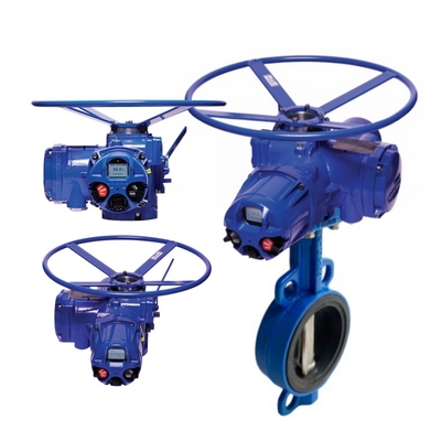 Katup Kupu-Kupu Elektrik Flowserve Limitorque MX Smart Non-Intrusive Multi-turn Electric Actuator