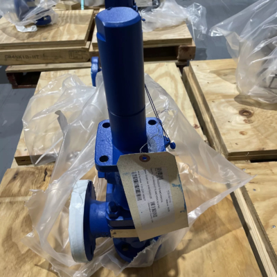 Cina bahan bakar gas Skid-mounted Emerson Crosby H Series spring langsung katup keselamatan stainless steel safety relief valve