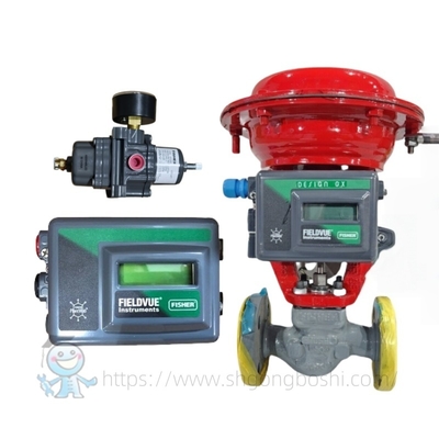 Fisher DVC2000 Digital Valve Positioner dengan Filter Valve 67CFR