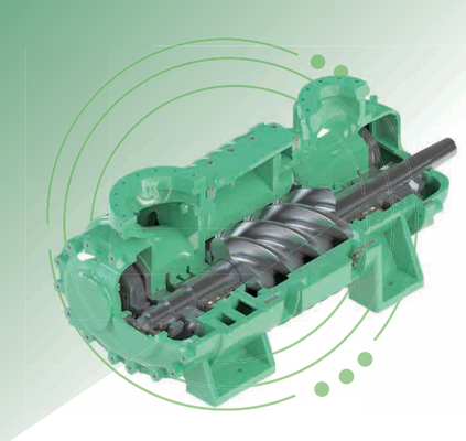 Screw Expansion Unit Natural gas value station decompression power generation Expander Supplier
