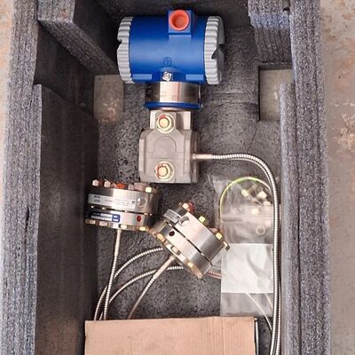 Schneider Foxboro IDP10 Differensial Tekanan Transmitter Smart DP Sensor