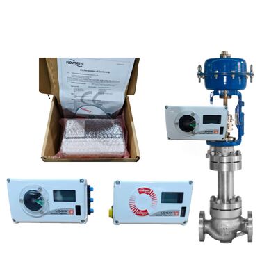 Posisi Digital Flowserve Logix 520MD Baru 520MD+44-W2D100 520MD+44-W2D3FN Sertifikasi EAC