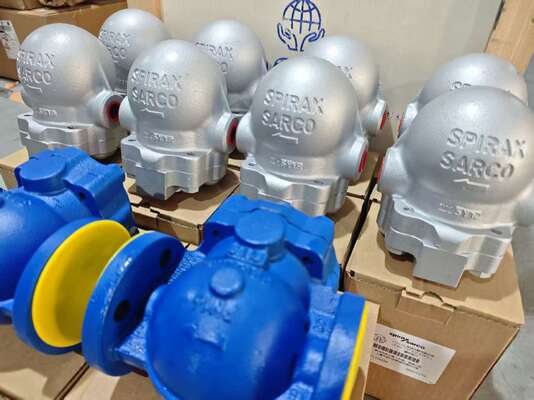 Sambungan Flensa Baru FT14X FT14 Sambungan Sekrup FTGS14 SPIRAX SARCO Ball Float Steam Trap DN15 hingga DN50 PN16 pada Peralatan yang Dipasang di Skid