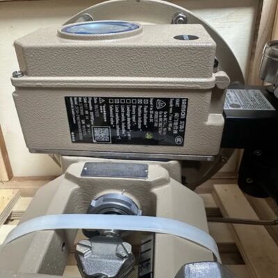 SAMSON 3241 Industrial Threaded Seat Pneumatic Globe Valve SAMSON 3756 Volume Booster