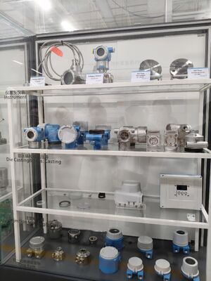 Endress Hauser Coriolis Flowmeter Promass F300 8F3B40-BBDMABDGAASAD4SAA2+AAEBZ1 Pengukuran stabil untuk industri gas minyak kimia