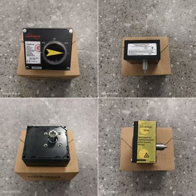 Pemasok Stok Aktuator Silinder Pneumatik Flowserve PMV P5 EP5 Valve Positioner F5 Switch Box dan Neles B1 Katup Cina