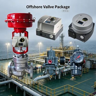 Valmet Me-sto Neles ND9000 Control Valve Positioner dengan Fi-sher 67CFR Filter Pressure Reducing Valve