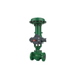 Fisher ET EZ EWT Katup Kontrol Pneumatik dengan DVC6200 DVC2000 Digital valve controller dan 67CFR 67DFR filter regulator