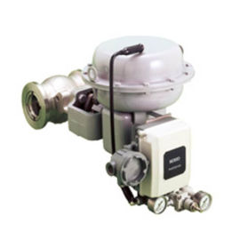 210E / 220E Eccentric Segmented Ball Valve ANSI Kelas 150 - 600 Peringkat Tubuh