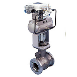210E / 220E Eccentric Segmented Ball Valve ANSI Kelas 150 - 600 Peringkat Tubuh