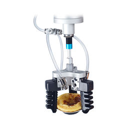 Lengan Robot Mekanik Pneumatik Pengikat Paralel Robot Industri Gripper 180g Beban