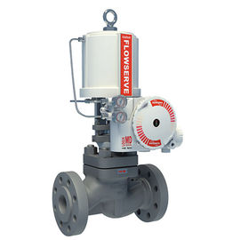Linear Globe Control Valve / Katup Kontrol Sudut Kelas 150 - 2500 Tekanan