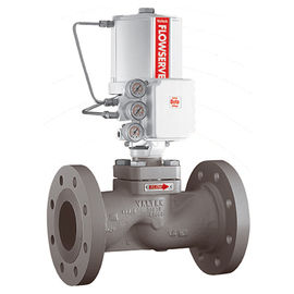 Linear Control Valve Positioner PN 50 - 100 Tekanan Bahan Soft Seat PTFE