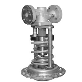 DN 15 - DN 100 Pressure Relief Valve Pressure Safety Valve Versi DIN