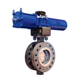 Katup Kontrol Listrik Cryogenic SS ANSI PN16 DN300