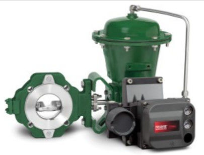 Fisher easy e EZ Control Valve dalam aplikasi dan material pemrosesan kimia atau hidrokarbon di Carbon Steel, Stainles