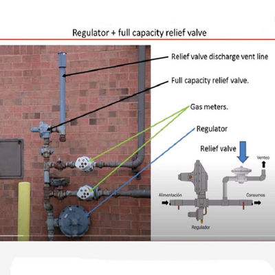 EZR Relief Valve Atau Regulator Tekanan Belakang Gas Modular Skid Fisher LNG Skid Mounted Gas Device Solution Power Tool Set