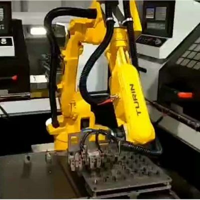 Robot Industri 6 Axis China TKB800-6kg-876mm Untuk Memuat Robot Universal