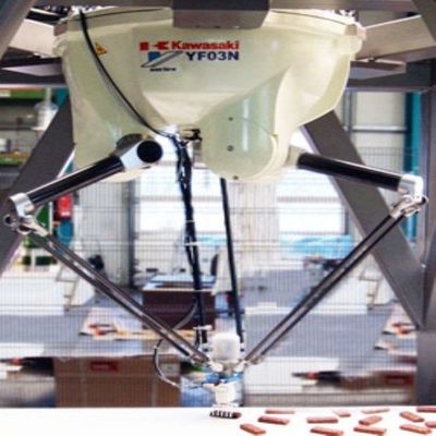 Rakitan Lengan Robot YF003N Payload 3kg Untuk Robot Perakitan 4 Axis Delta Robot