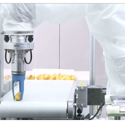 Small Industrial Robotic Arm 6 Axis VS-050/060 Dengan CNGBS Robot Gripper Sebagai Robot Universal