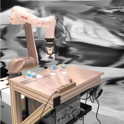 Cobot Robot Arm 6 Axis CZ10-01 Dengan CNGBS Robotic Gripper Untuk Memilih Sebagai Robot Kolaboratif