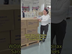 Apa pendapatmu tentang Spirax Sarco di antara merek katup?