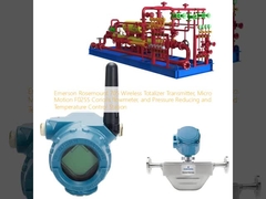 Pemancar Totalizer Nirkabel Emerson Rosemount 705, flowmeter Coriolis Micro Motion F025S, dan Stasiun Pengendalian Tekanan Penurun dan Suhu